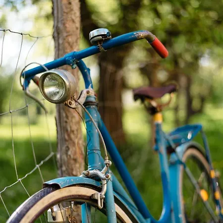 Castello Schloss Lichtengraben 팜스테이