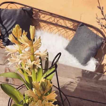 Castello Schloss Lichtengraben 팜스테이 바트상크레온하드임라반탈