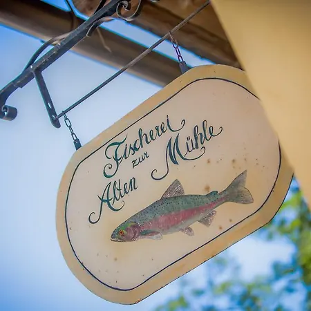 Castello Schloss Lichtengraben 바트상크레온하드임라반탈