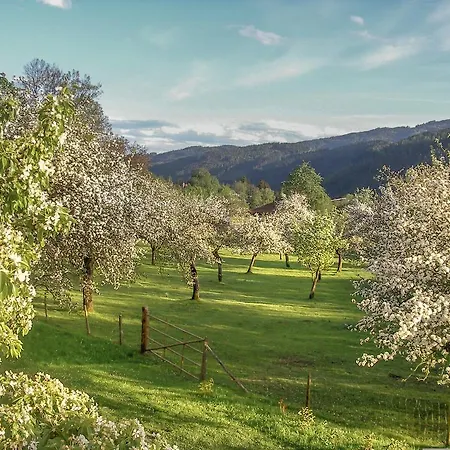 Castello Schloss Lichtengraben 팜스테이