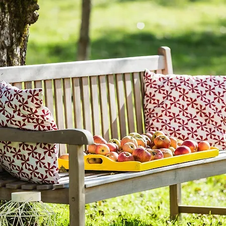 Castello Schloss Lichtengraben 바트상크레온하드임라반탈