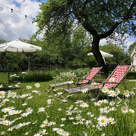 Castello Schloss Lichtengraben 바트상크레온하드임라반탈