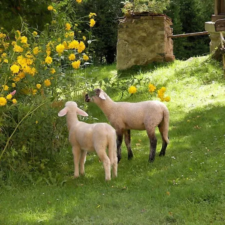 팜스테이 Castello Schloss Lichtengraben 바트상크레온하드임라반탈