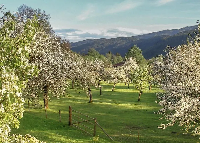 Castello Schloss Lichtengraben Bad Sankt Leonhard im Lavanttal
