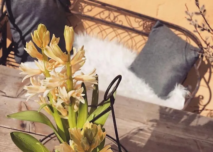 Castello Schloss Lichtengraben Farma Bad Sankt Leonhard im Lavanttal