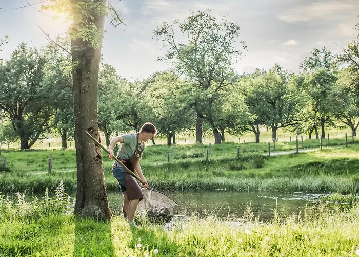 Castello Schloss Lichtengraben Bad Sankt Leonhard im Lavanttal