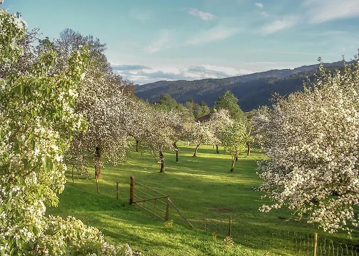 Castello Schloss Lichtengraben Farma