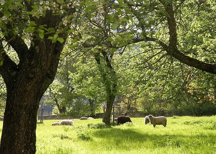 Castello Schloss Lichtengraben Farma *
