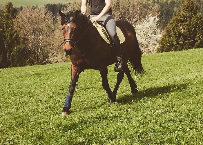 Castello Schloss Lichtengraben