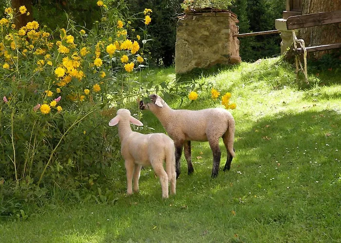 Farma Castello Schloss Lichtengraben Bad Sankt Leonhard im Lavanttal